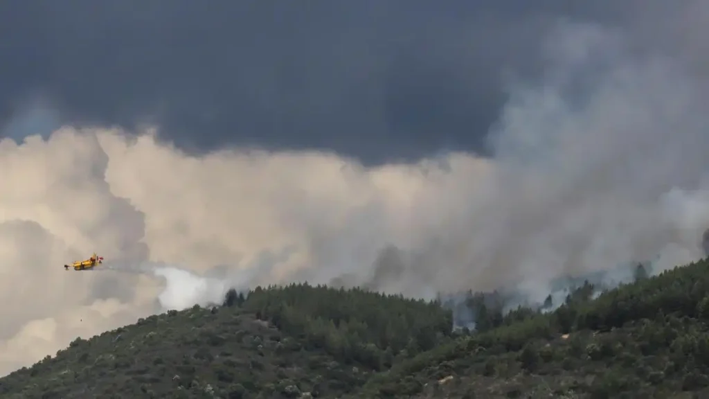 12.400 hectáreas quemadas en incendios forestales 2026: impacto sanitario y ambiental cuantificado