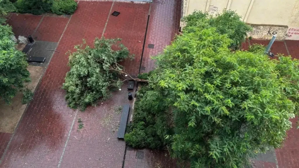 20 avisos en 30 minutos: el impacto del viento en L’Hospitalet de Llobregat