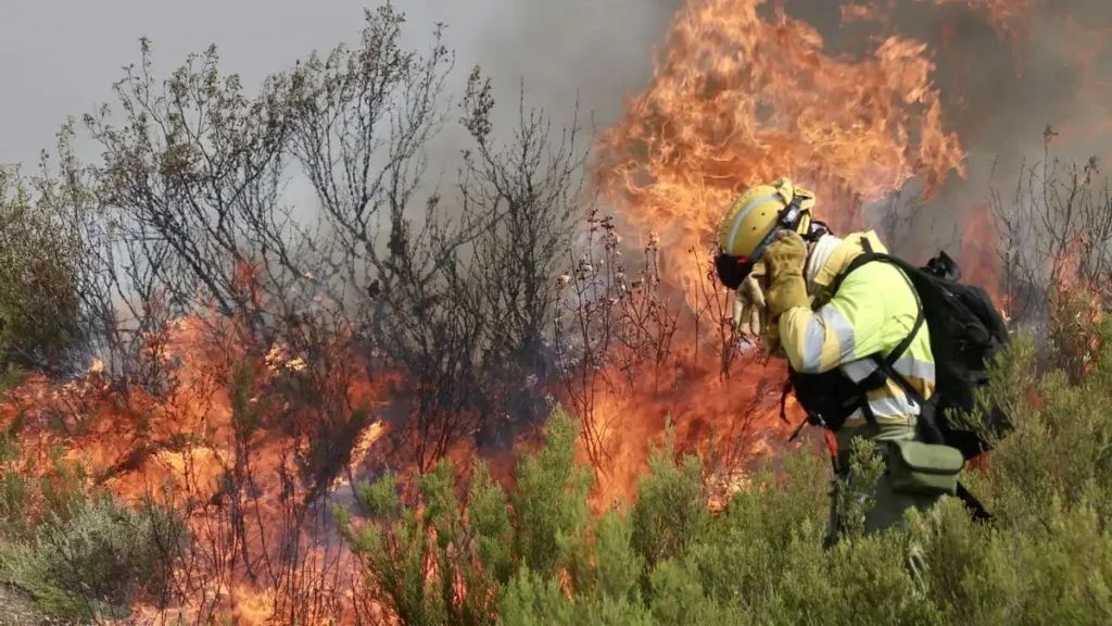 Crisis de Incendios en España: Desafíos y Respuestas en la Lucha Contra el Fuego