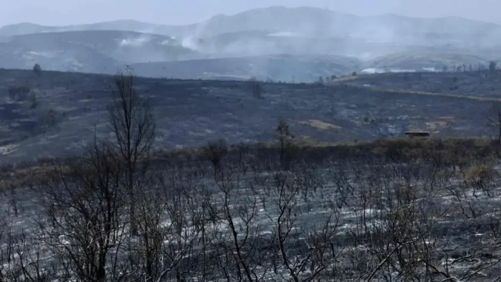 32.000 hectáreas quemadas en el incendio de Guadalajara: la mayor catástrofe forestal de la región en 20 años