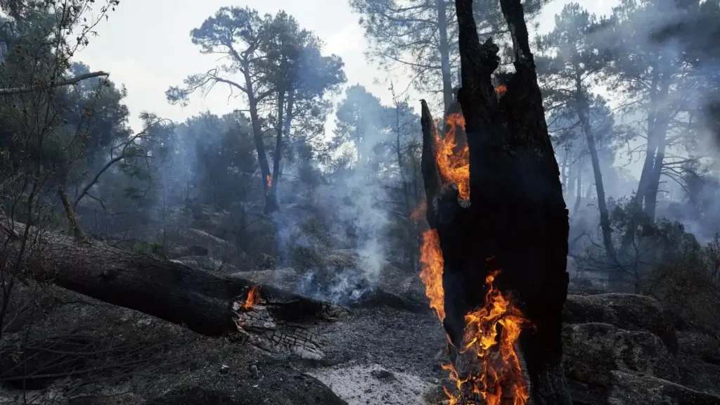 90.000 personas desalojadas o confinadas por incendios en centro de España: cifra récord desde 2022
