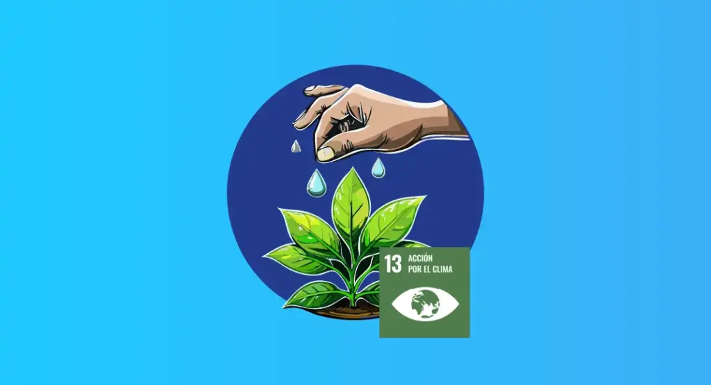 Impacto Económico de los Desastres Climáticos en 2025: Un Llamado a la Acción