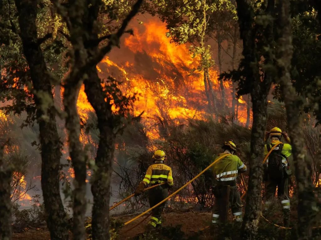 Innovación en la Formación de Empleados Públicos para la Prevención de Incendios en Castilla y León