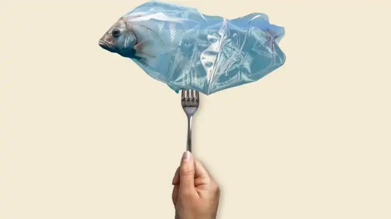 Microplásticos en el cerebro: riesgo emergente para la salud humana