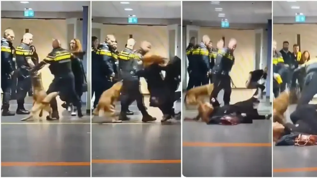 Uso de la fuerza policial en centros de acogida: investigación en los Países Bajos tras viralización de videos